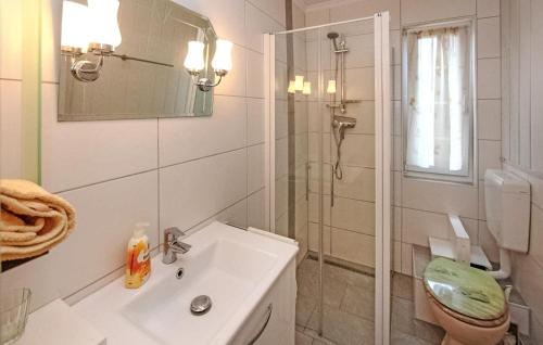 a bathroom with a toilet and a sink and a shower at Nice Apartment In Mhl Rosin With Kitchen in Mühl Rosin