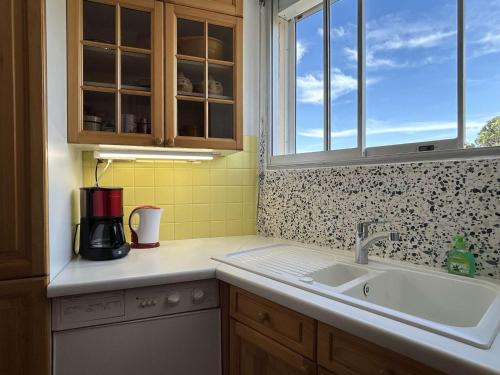 une cuisine avec un évier et une fenêtre dans l'établissement Duplex 2 pièces avec parking à Banyuls-sur-Mer - FR-1-225C-140, à Banyuls-sur-Mer