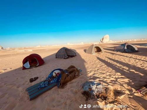 a group of tents in the sand in the desert at White desert Egypt safari in Bawati