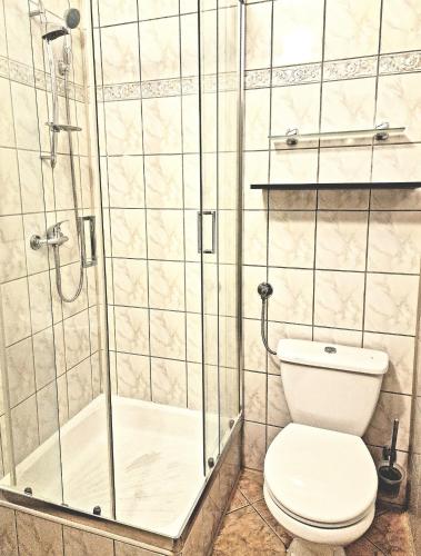 a bathroom with a shower and a toilet at Starówka Boutique Hostel Cieszyn Centrum in Cieszyn