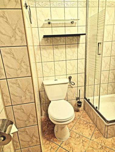 a bathroom with a toilet and a shower at Starówka Boutique Hostel Cieszyn Centrum in Cieszyn