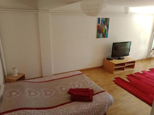 ein Wohnzimmer mit einem Bett und einem Flachbild-TV in der Unterkunft Appartement d'une chambre avec terrasse et wifi a Brives Charensac in Brives-Charensac