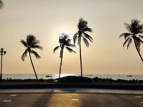 a group of palm trees in front of the ocean at Stella Marina Boutique Hotel in Phu Quoc