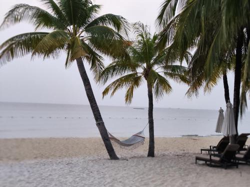 a hammock between two palm trees on the beach at Stella Marina Boutique Hotel in Phu Quoc