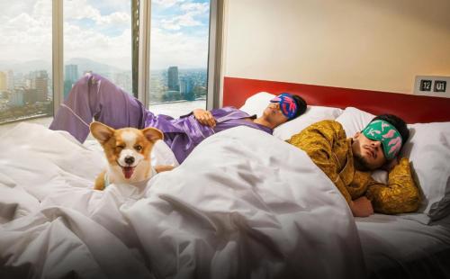 峴港的住宿－Wink Hotel Danang Riverside - 24hrs Stay & Rooftop with Sunset View，两个人躺在床上,床上有一只狗