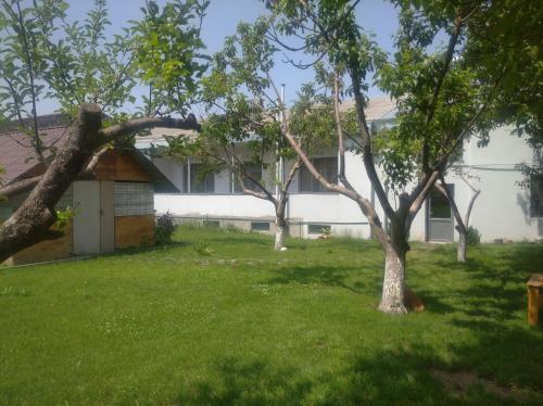 a house with a tree in the yard at Spartak in Sisian