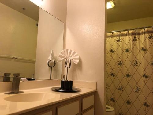 a bathroom with a sink and a toilet and a mirror at The Healing Place in Laughlin