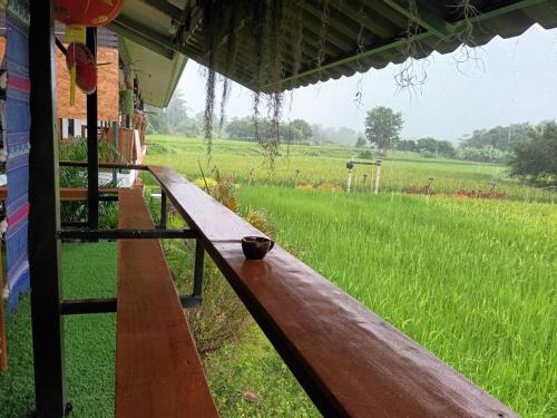 a wooden bench in front of a field of grass at Noppakao Resort in Soem Ngam