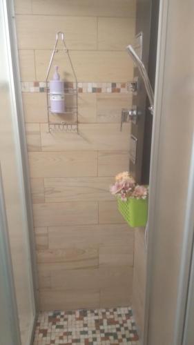 y baño con ducha y cesta de flores. en Su Cuccureddu ONIFAI, en Onifai