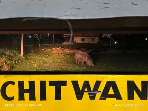 a pig standing in the grass in a field at Hotel National Park- A peaceful Family home where you can stay Peace and Enjoy and Organize the wildlife Safari in Chitwan
