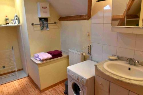 une petite salle de bains avec un lave-linge et un lavabo dans l'établissement 2 bedrooms apartement with private pool terrace and wifi at Ottignies Louvain la Neuve, à Limelette