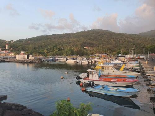 a group of boats are docked in a harbor at Appartement élégant à Deshaies avec terrasse privée, 80 m². in Deshaies