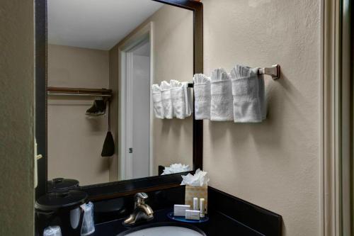 y baño con lavabo, espejo y toallas. en Fairfield Inn & Suites by Marriott Atlanta Alpharetta en Alpharetta