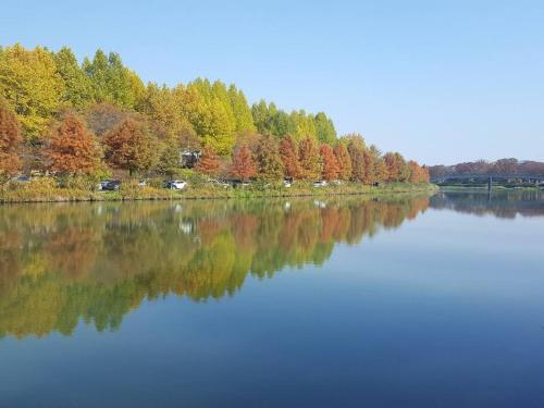 einem See mit Bäumen, die im Wasser reflektieren in der Unterkunft Sodamhang in Damyang in Damyang