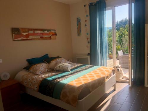 - une chambre avec un lit avec un chien assis dans l'établissement La villa tranquille, à Roquebrune-sur Argens