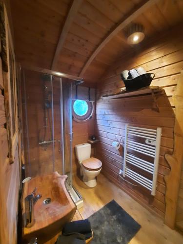 a small bathroom with a toilet and a sink at Le Domaine du Bodseu in Francorchamps