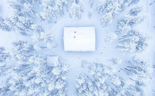 una vista sul cielo di una foresta innevata con una scatola di Luostokoti Lumo a Luosto