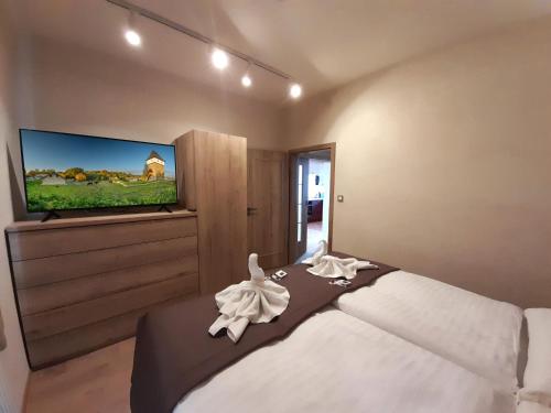 a bedroom with a large bed and a flat screen tv at Residence Budákov in Dolní Dvořiště