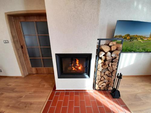 a fireplace in a living room with a pile of logs at Residence Budákov in Dolní Dvořiště