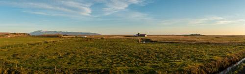 an open field with cows in the middle of it at Midgard Base Camp in Hvolsvöllur