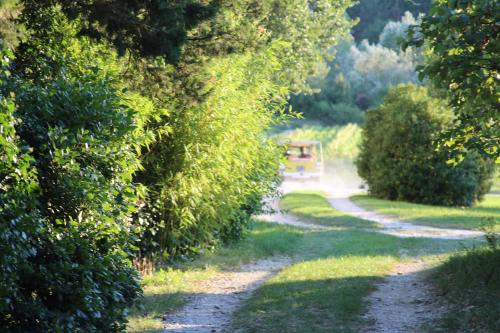 a dirt road with trees and a bench in the distance at Chambres d'hôtes - Le Mas du Colombeyras in Espeluche