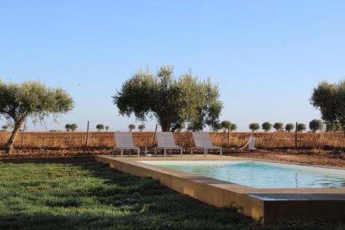 Πισίνα στο ή κοντά στο Casa do Roxo - Eco Design Country House