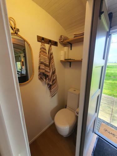 een badkamer met een toilet en een spiegel bij Pipowagen het Sleephuis in Rohel
