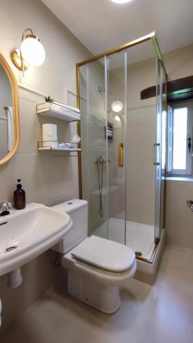 a bathroom with a shower and a toilet and a sink at Posada La Dalia in Castillo-Pedroso