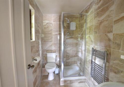 a bathroom with a toilet and a shower at The Gatehouse in Llanrwst