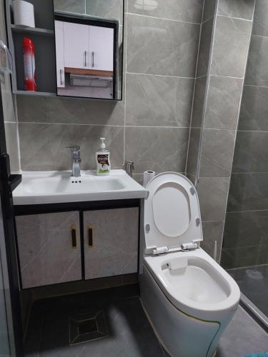 Baño pequeño con aseo y lavamanos en Studio apartment, Smarthomes, en Nairobi