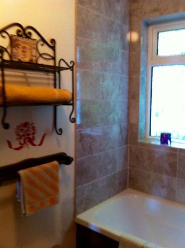 a bathroom with a tub and a window at Five Saints Farmhouse B&B in Pumpsaint