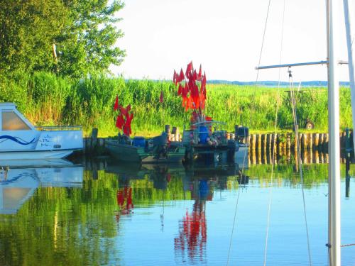 a group of boats docked in the water at Lod - "Berliner Stube" in Kolpinsee