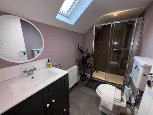 a bathroom with a sink and a mirror and a shower at Splendid South Dublin Ranelagh Townhouse in Dublin