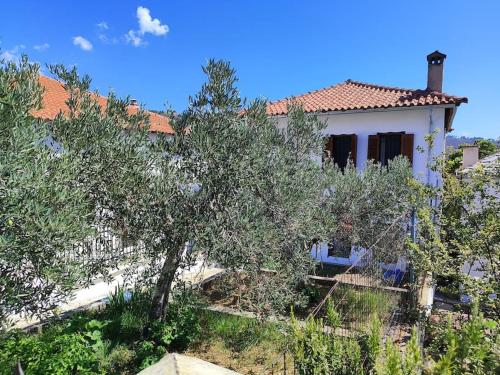 une maison blanche avec des arbres devant elle dans l'établissement ΔΙΑΚΟΠΕΣ ΣΤΗ ΘΑΣΟ ! ! !, à Theológos