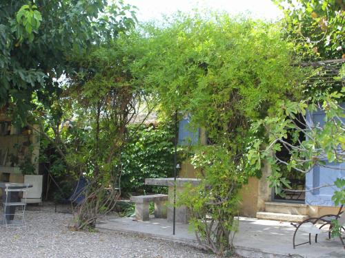 un banc et des arbres devant un bâtiment dans l'établissement Charming Cottage in Opp de amidst Vineyards, à Maubec