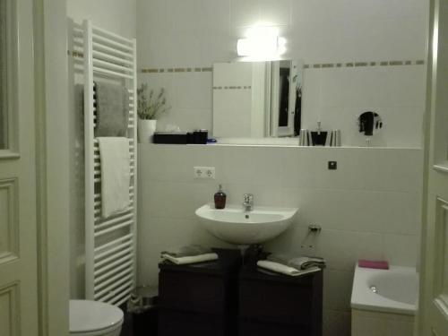 Vannas istaba naktsmītnē Charming apartment in Radebeul