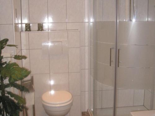 y baño blanco con aseo y ducha. en Cosy apartment in Eibenstock en Eibenstock
