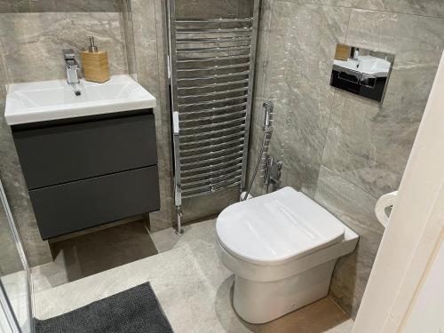 a bathroom with a white toilet and a sink at Luxurious Restful Studio Flat, Less Than 30 Mins From Centre! in London