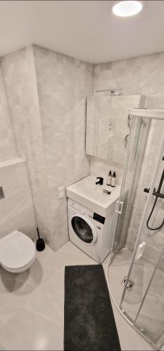 uma casa de banho com uma máquina de lavar roupa e um WC em Studijos tipo būstas em Kretinga