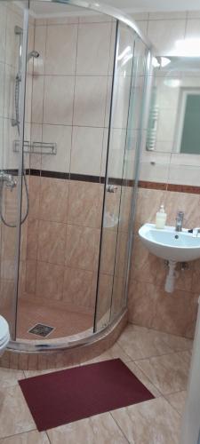 a bathroom with a shower and a sink at Borostyán Vendégház Eger in Eger