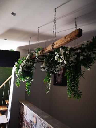 a flower arrangement hanging from a ceiling at B&B Tonnarella Beach in Torre Forte