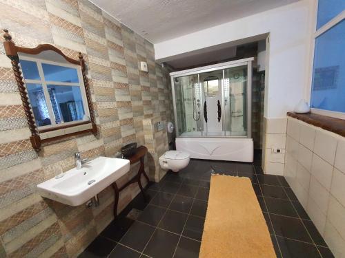 ein Bad mit einem Waschbecken und einem WC in der Unterkunft Ethno village Montenegro Brezna in Plužine