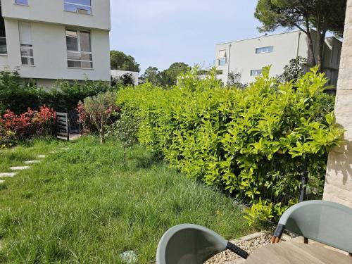 a garden with green bushes and a building at Pinegrove Apartment in Durrës