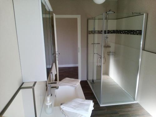 a bathroom with a shower and a glass shower stall at Natur-Campingplatz Salemer See in Salem