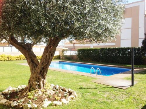 a tree in the grass next to a swimming pool at Calella Can Saula in Calella