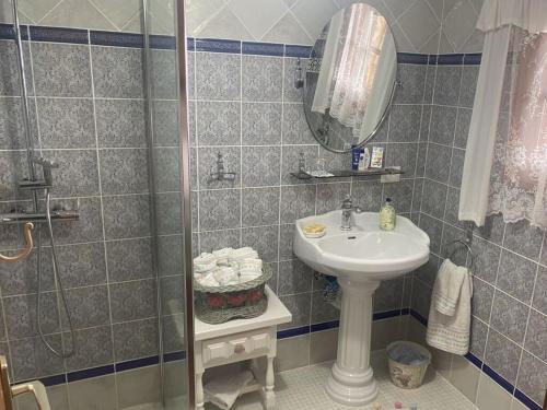 y baño con lavabo y ducha. en Casa Pedro in the Finca Angel, en Santa Úrsula