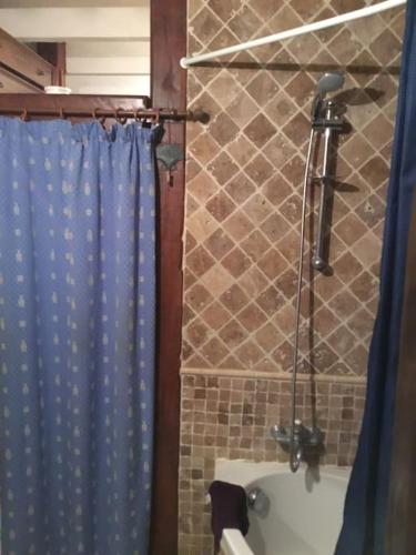 une salle de bain avec une douche avec un rideau de douche bleu dans l'établissement La Fontainebleu, à Causses-et-Veyran
