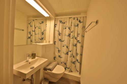 a bathroom with a sink and a toilet and a shower at Union Apartments Bern-Belp in Belp