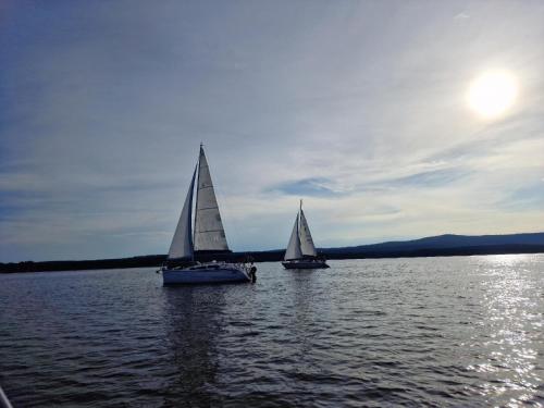 two sailboats on a large body of water at Deluxe Apartment Lipno - Lake Side Village, Frymburk nad Vltavou in Frymburk