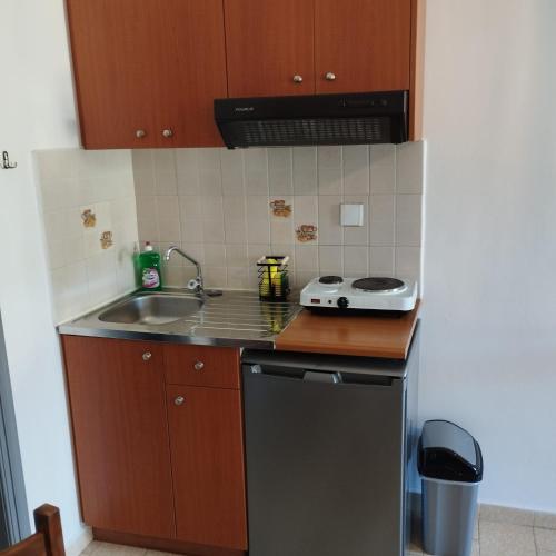 Dapur atau dapur kecil di Antonia